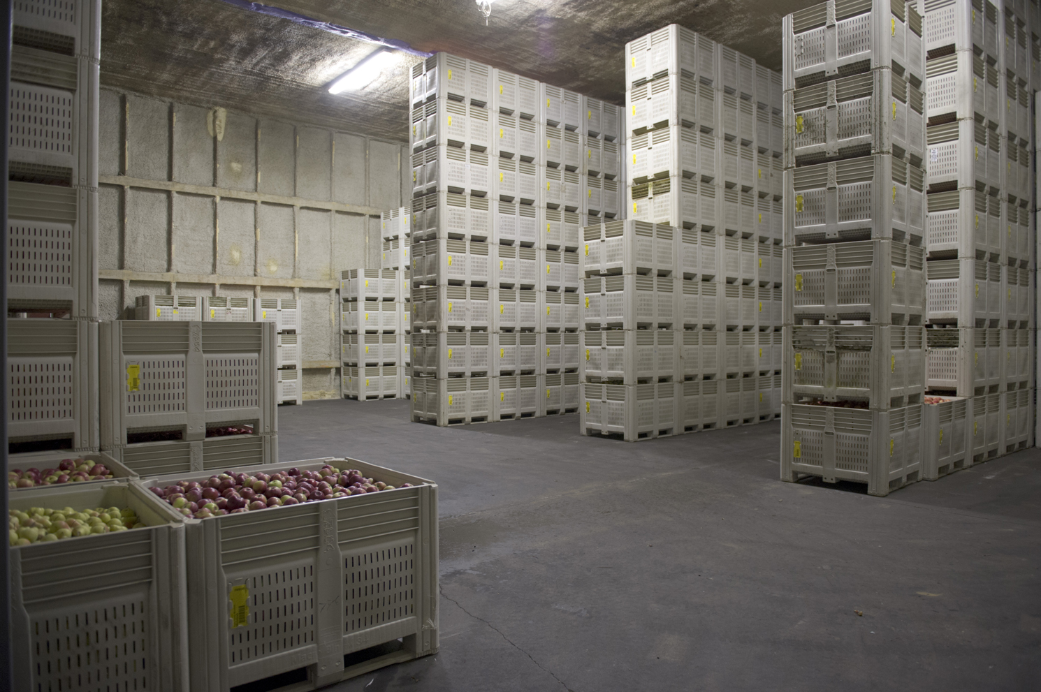 Хранение сх. Хранение фруктов на складе. Холодильный склад. Хранение овощей и фруктов на складах. Холодильный склад для яблок.